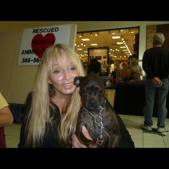 Meet your Posher, Helen - Picture 2 of 4