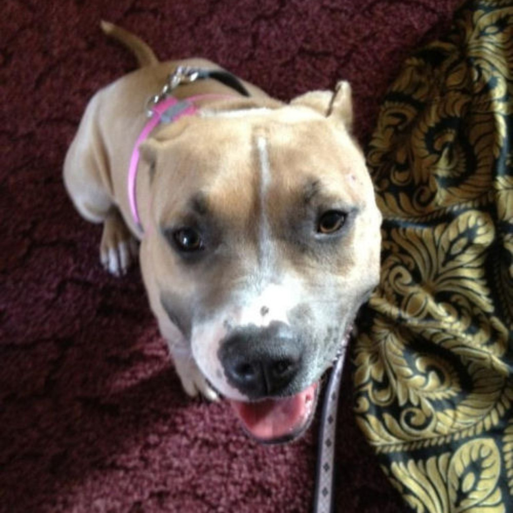 Princess Pepper Pie