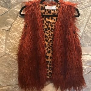 Gorgeous Faux Fur Vest BYDANIE