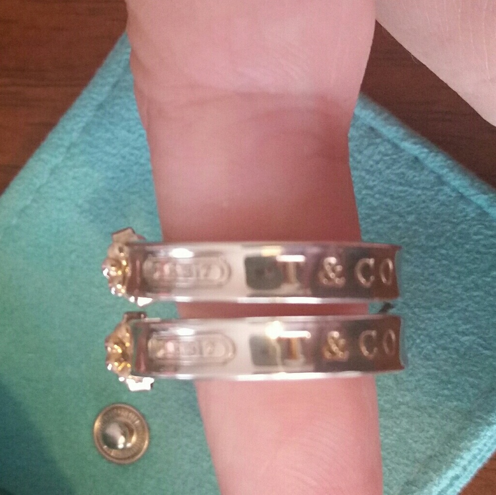 1837 Earrings