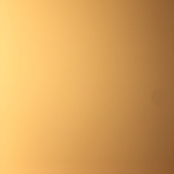 Meet your Posher, Cooper - Picture 1 of 1