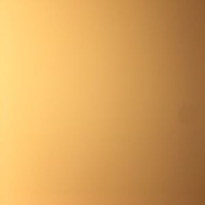 Meet your Posher, Cooper