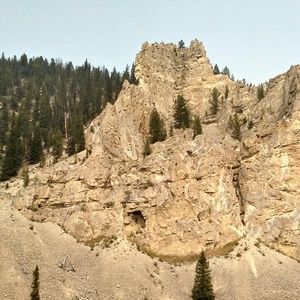 Meet your Posher, Shelly