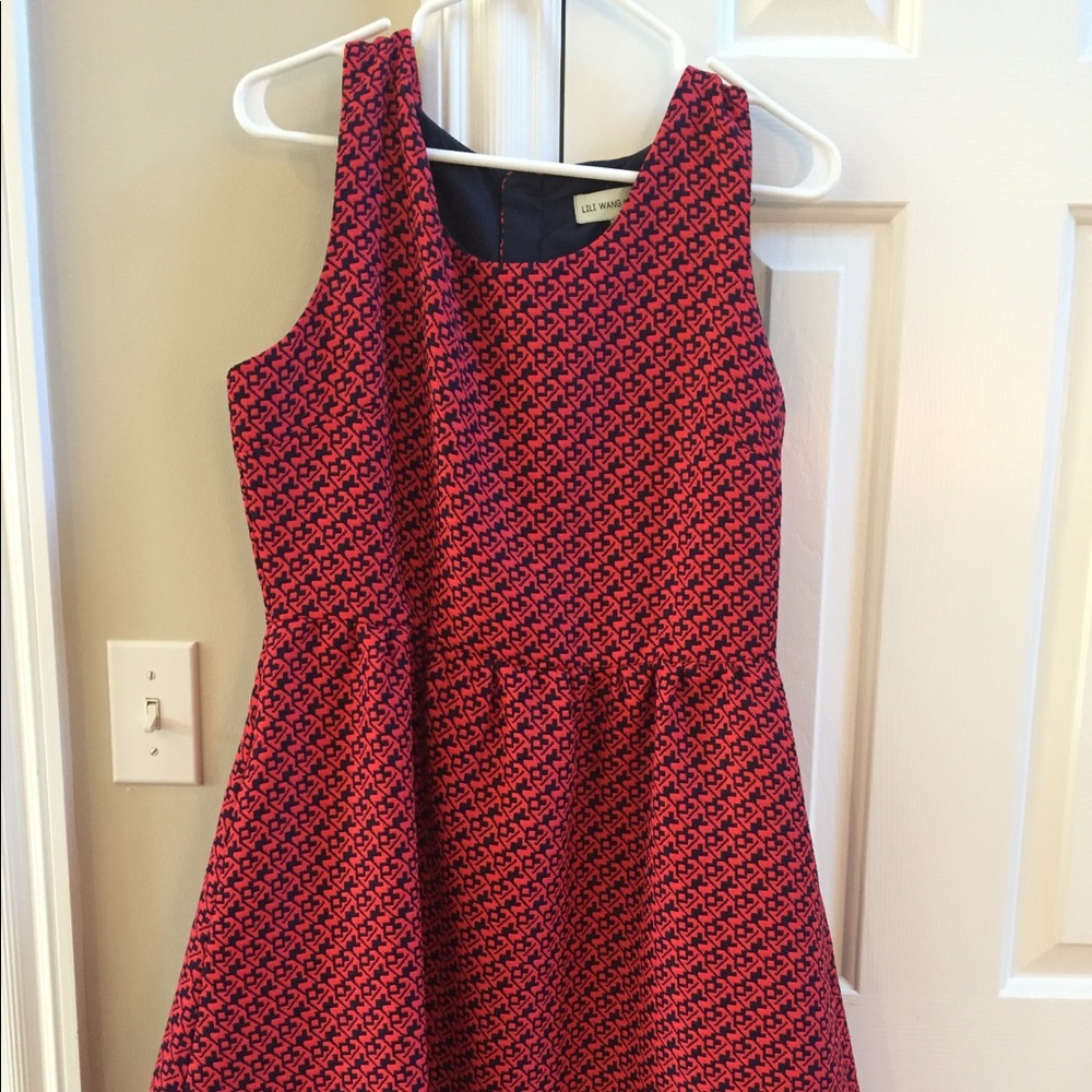 Anthropologie Lili Wangs for Lili's Closet dress