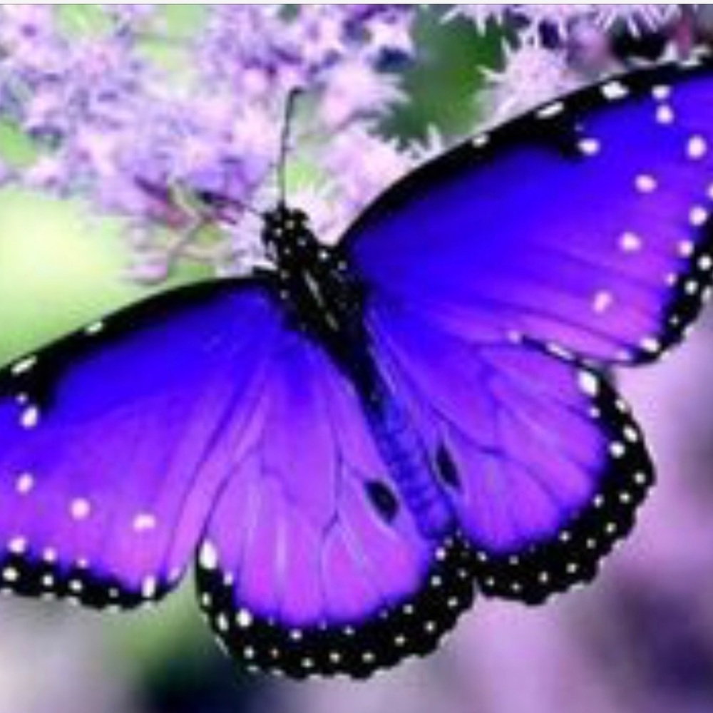 Meet your Posher, Raquel