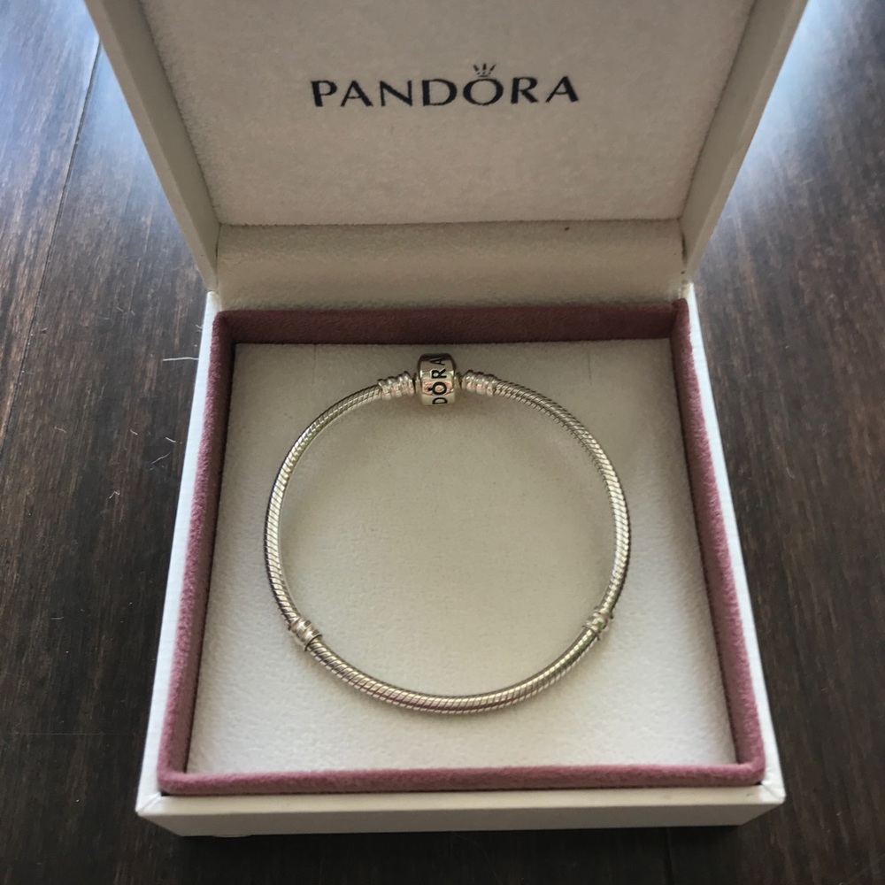 Iconic Pandora Bracelet