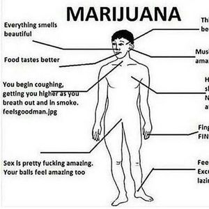 Meet your Posher, Amir