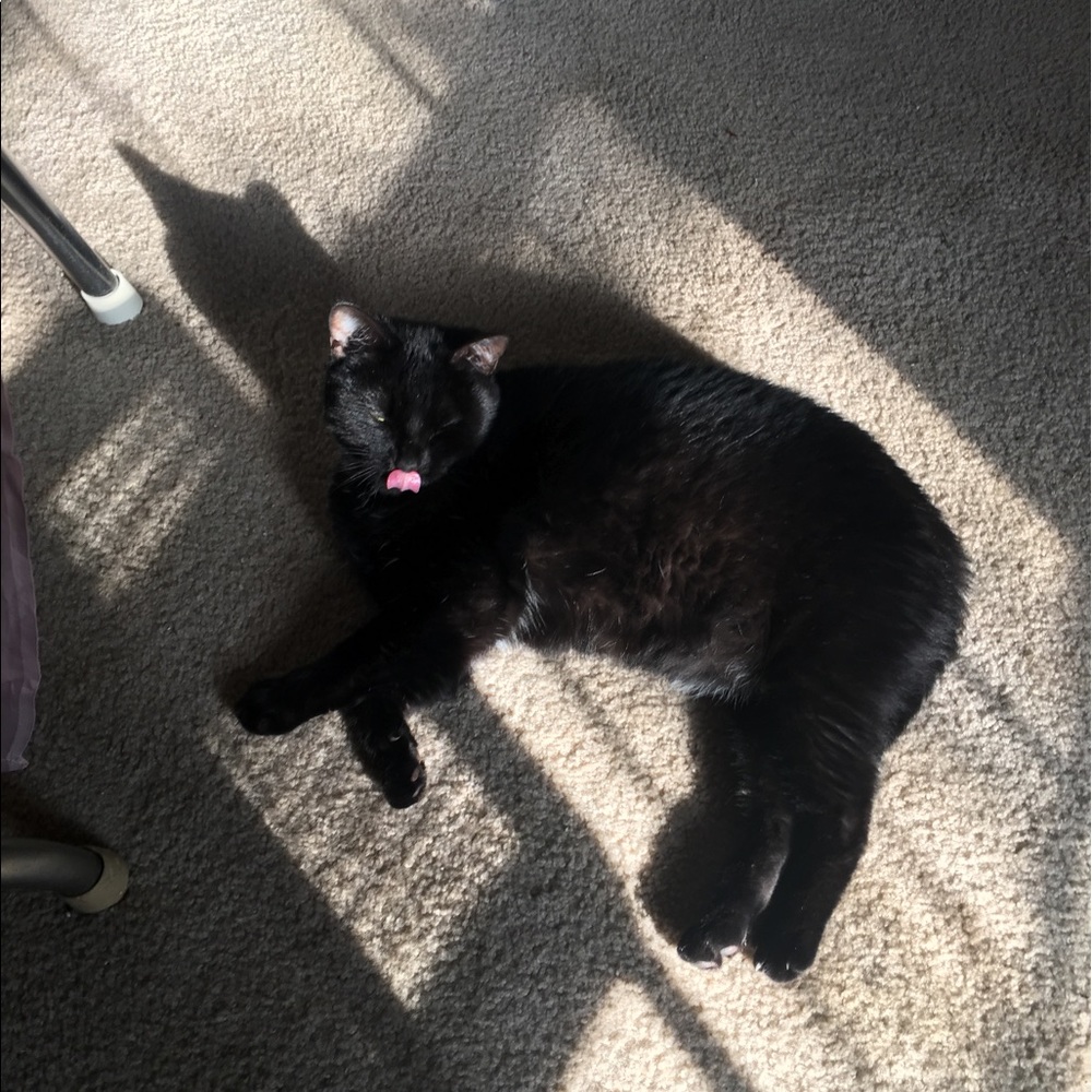 Meet your Posher, Gina