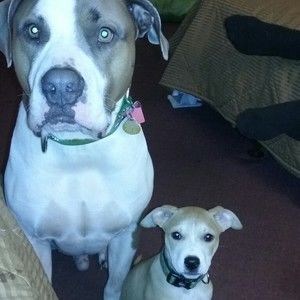 Meet your Posher, Shawna