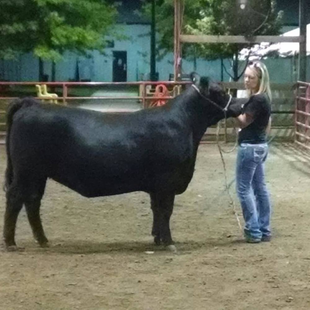 Meet your Posher, Kaylee