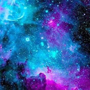 Meet your Posher, Regina