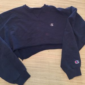 blue champion cropped hoodie