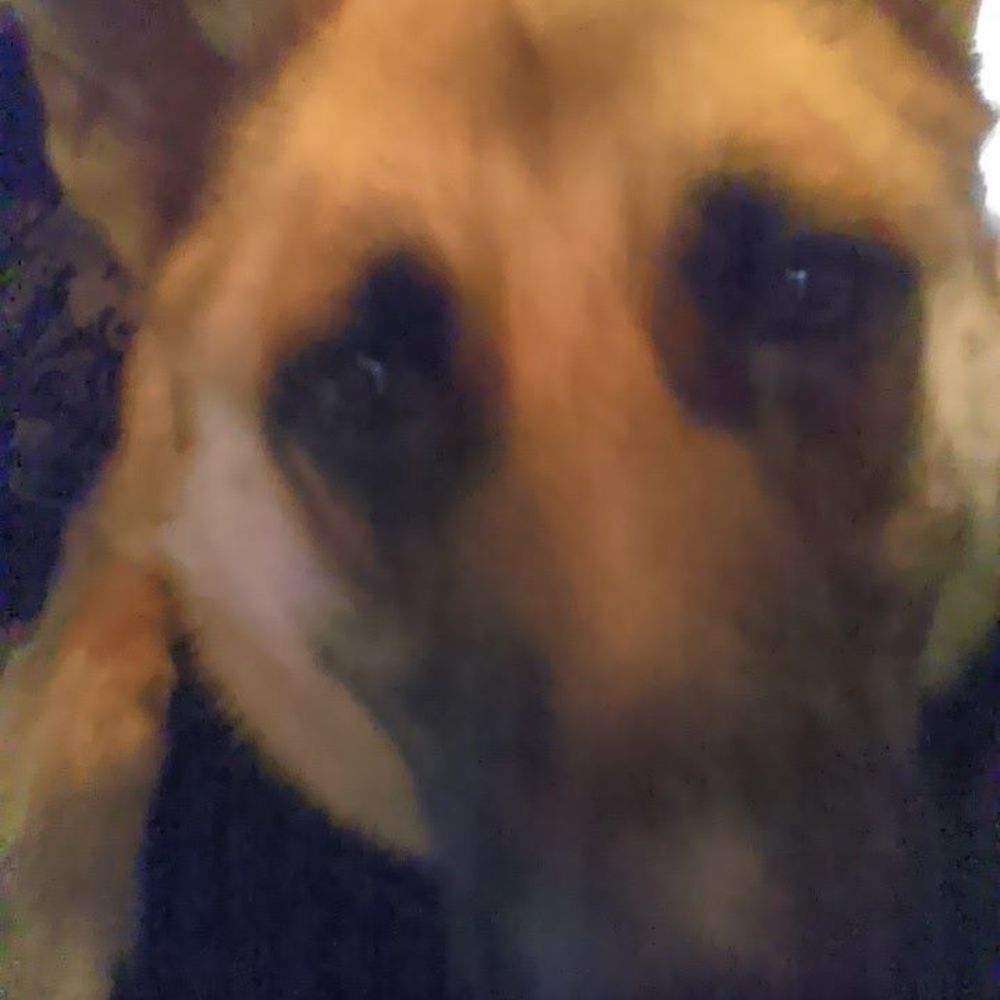 Meet your Posher, Mkhal