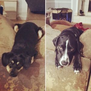 Meet your Posher, Benton