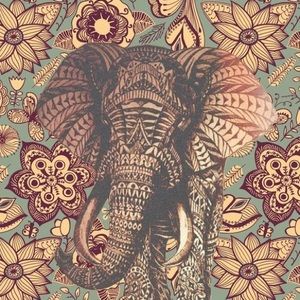 Meet your Posher, Noelia