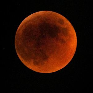 Meet your Posher, Vladan