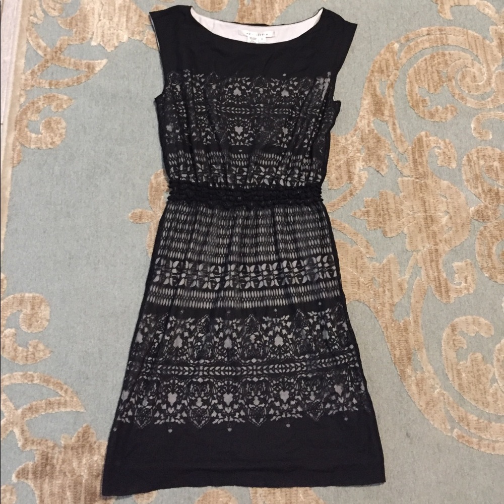 Max Studio LBD