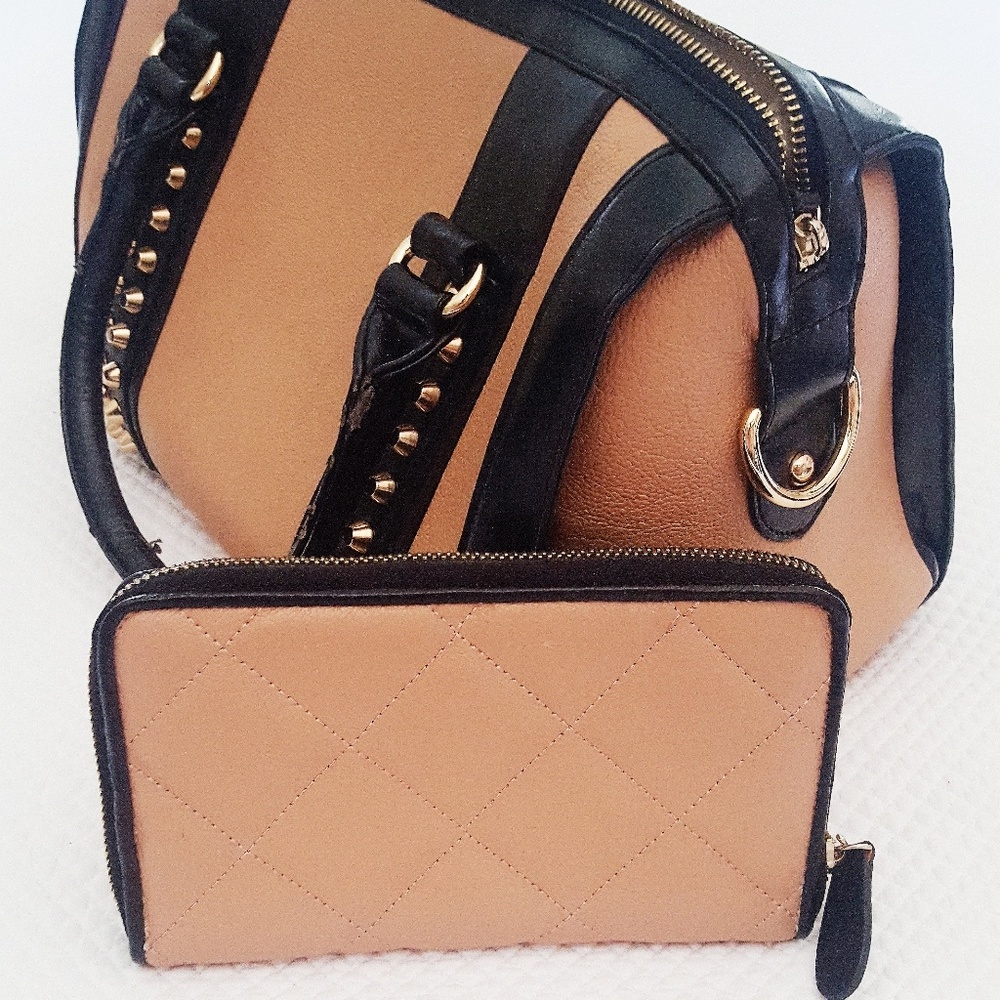 Aldo Handbag