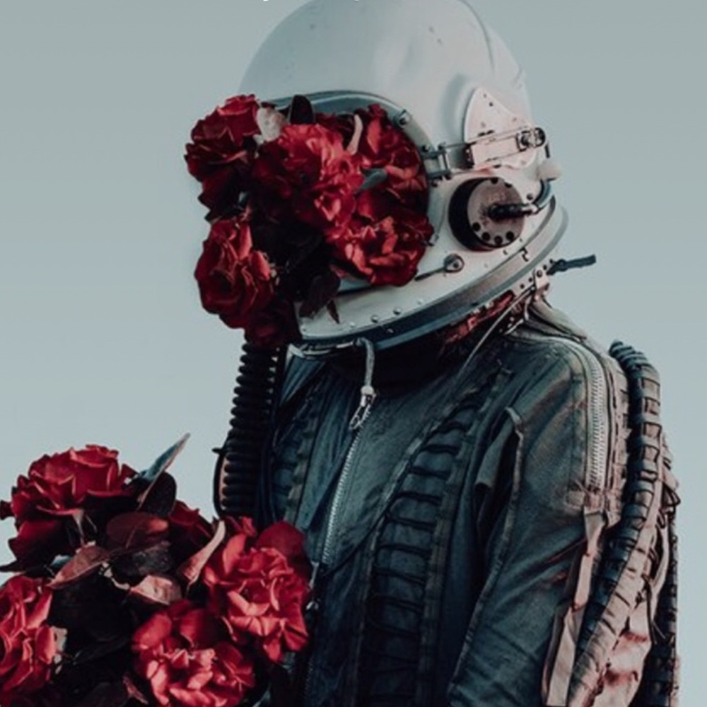 Meet your Posher, Ellie