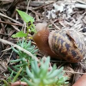 Meet your Posher, Kaitlyn