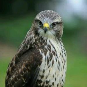 Meet your Posher, Tori