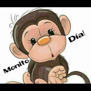 Meet your Posher, Diana