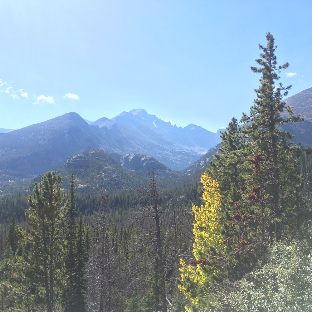 Meet your Posher, Stef