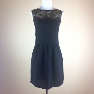 LOFT Shift Dress NWT Black with Gold Lace