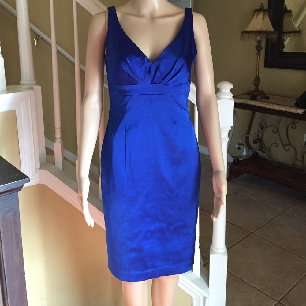 👗David Meister stunning blue dress