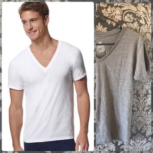 NWOT Hanes Grey Ultimate X-Temp V-Neck T-Shirt