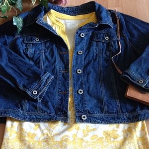 Avenue Denim Jacket