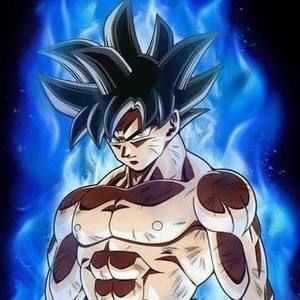 Meet your Posher, Rodrigo