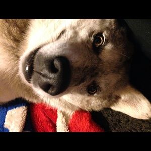 Meet your Posher, Matthew