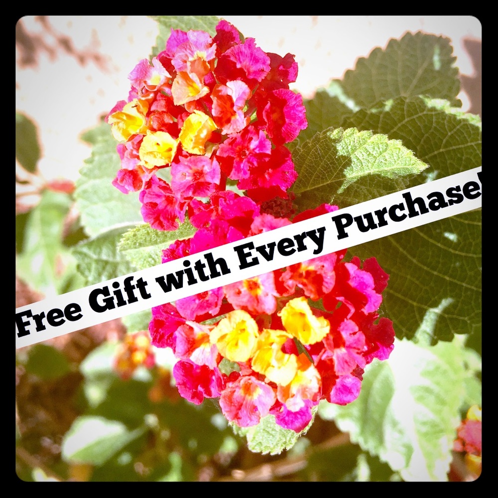 Free gift