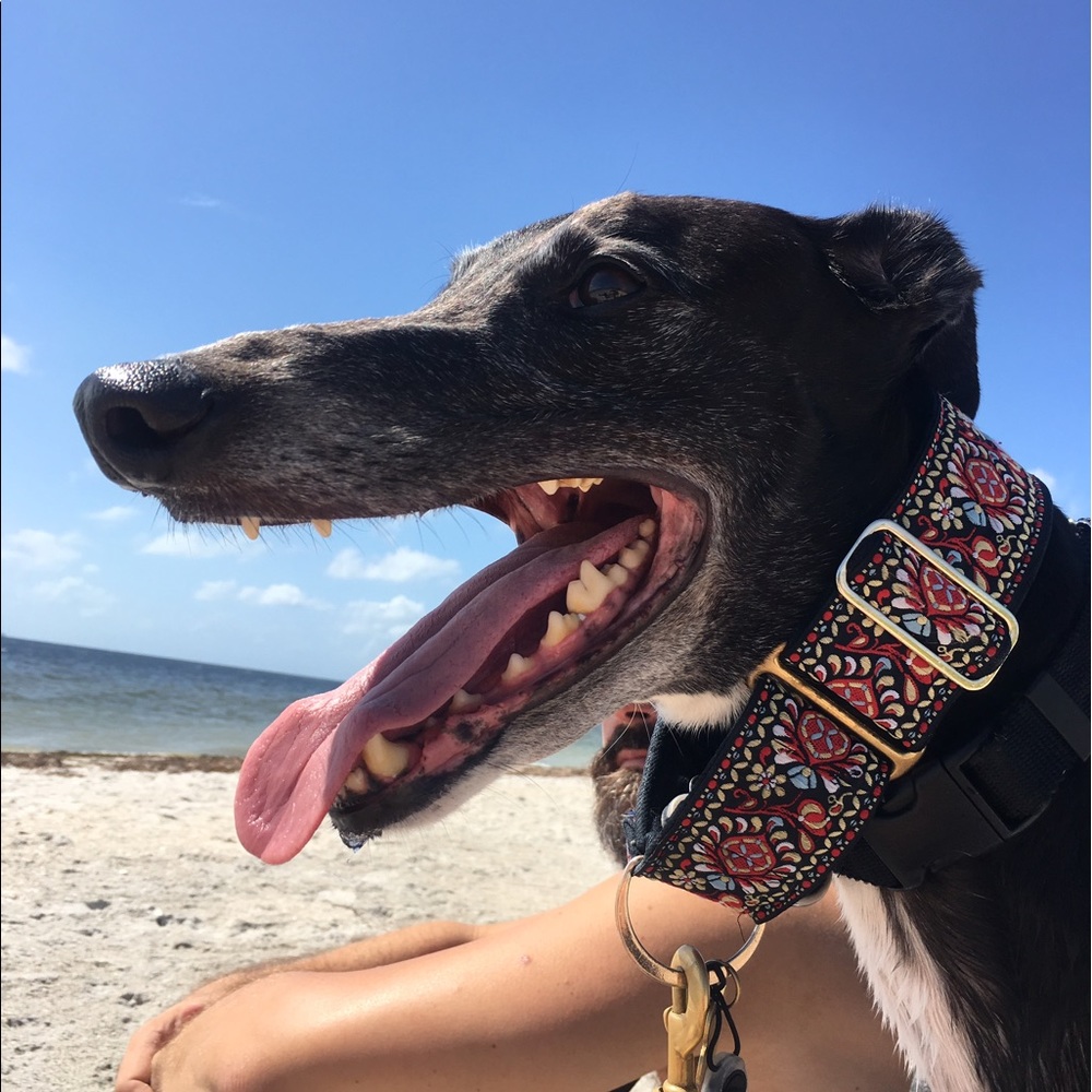 Meet your Posher, Carrie