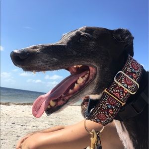 Meet your Posher, Carrie