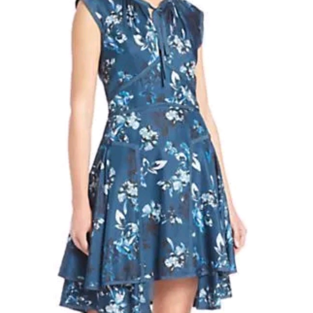 Zac Zac Posen Fit and Flare Floral Dress