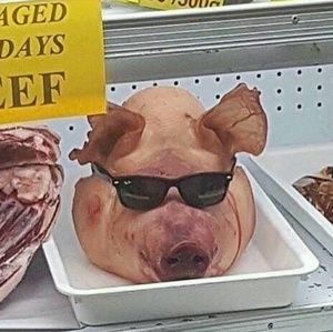 Meet your Posher, Connor