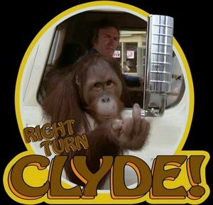 Meet your Posher, Sherry