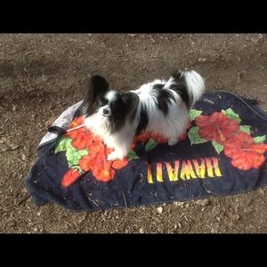 Meet your Posher, Linda