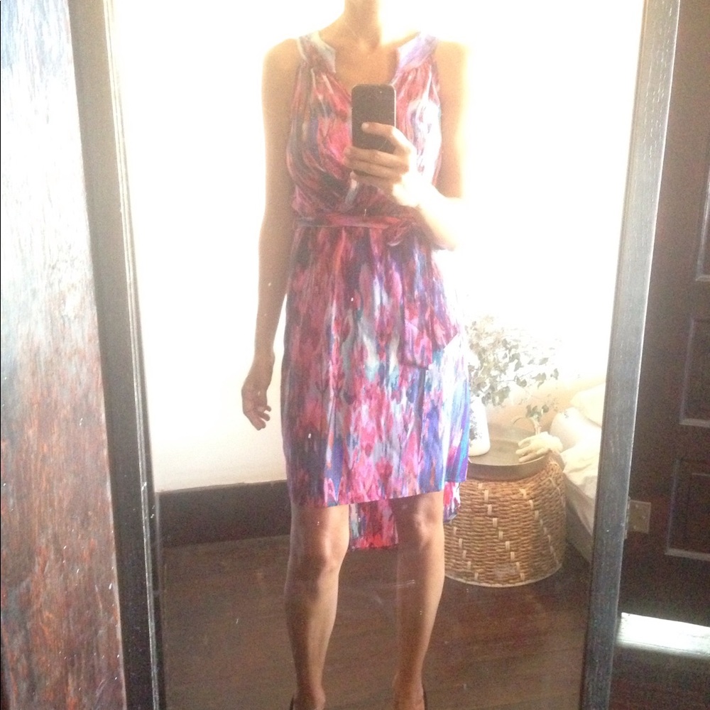 NWT Presley Skye xxs 100% Silk dress