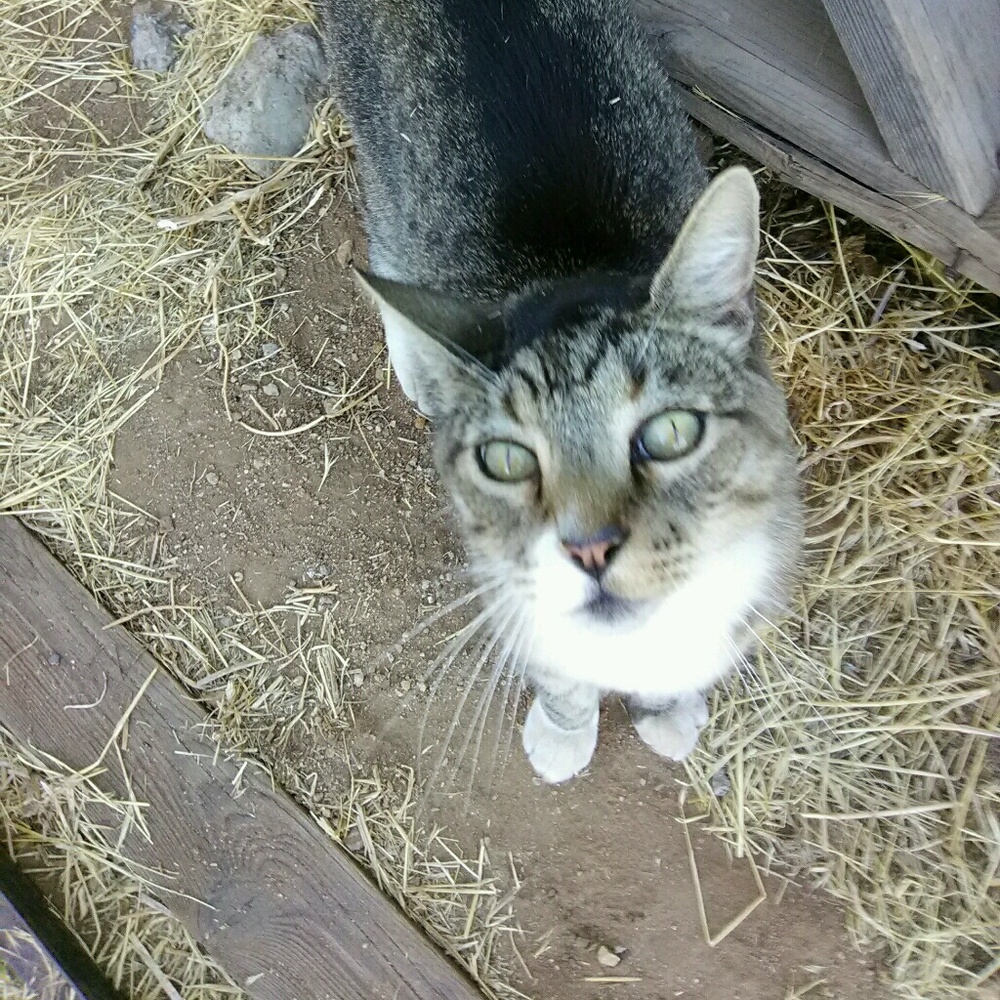 Meet your Posher, Kris