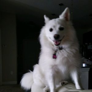 Meet your Posher, Rebecca