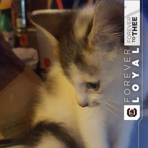 Meet your Posher, Wendy