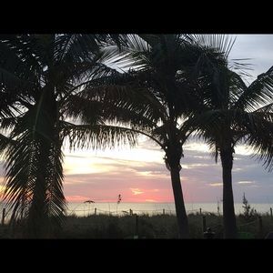 Meet your Posher, Willie