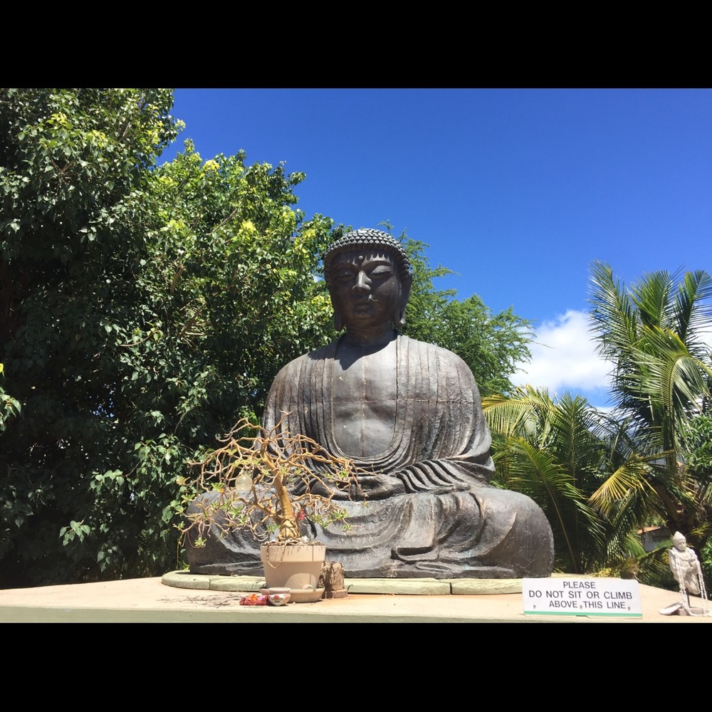 Meet your Posher, Brandi