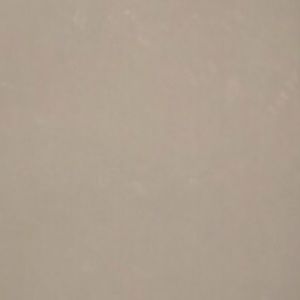 Meet your Posher, Daryl