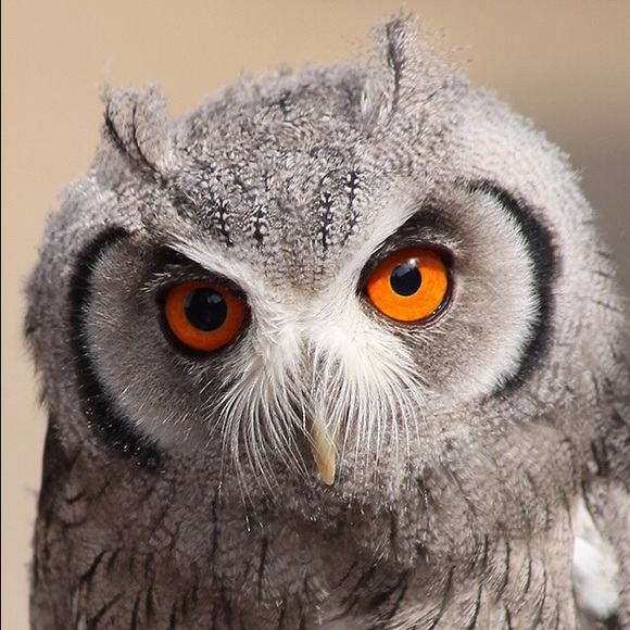 Meet your Posher, Jimmy - Picture 1 of 1