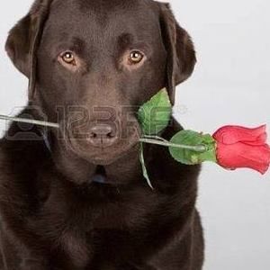 Meet your Posher, Paula