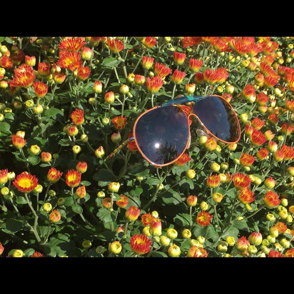 Prada Just Wants to Have Fun